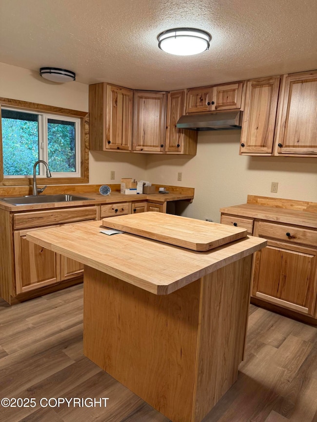 19399 Klondike St, Chugiak, AK 99567 - photo 3