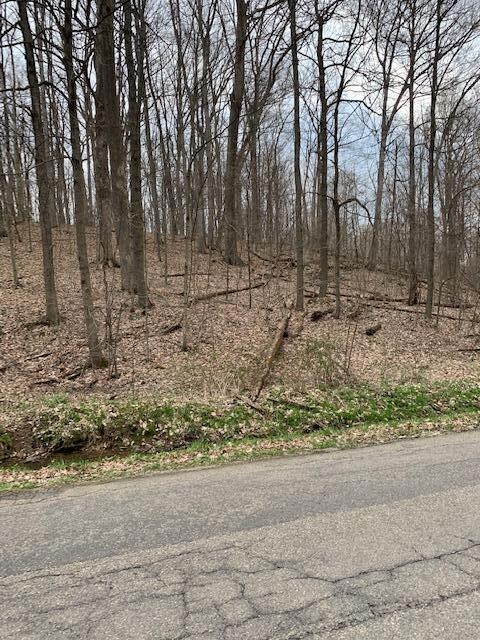 Lot99/100 Highland Hills Dr, Howard, OH 43028 - photo 4