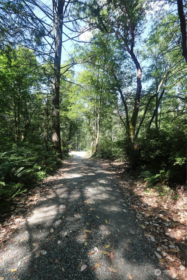 28686 141st Ave SW, Vashon, WA 98070 - photo 5