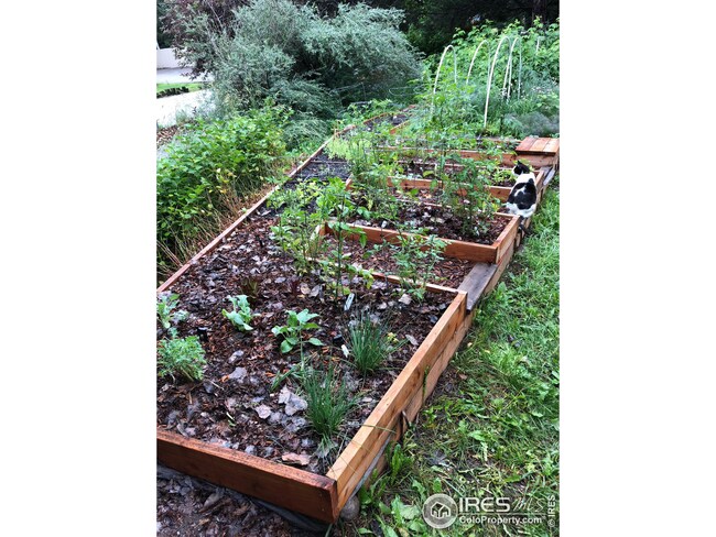 1480 Quince Ave unit N201, Boulder, CO 80304 - photo 4