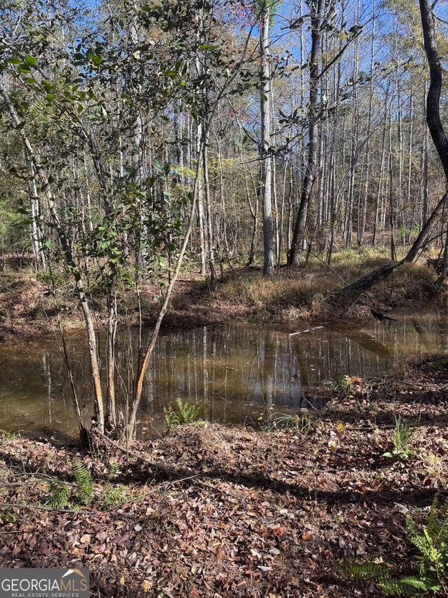 157 W Drummond Rd, West Point, GA 31833 - photo 5