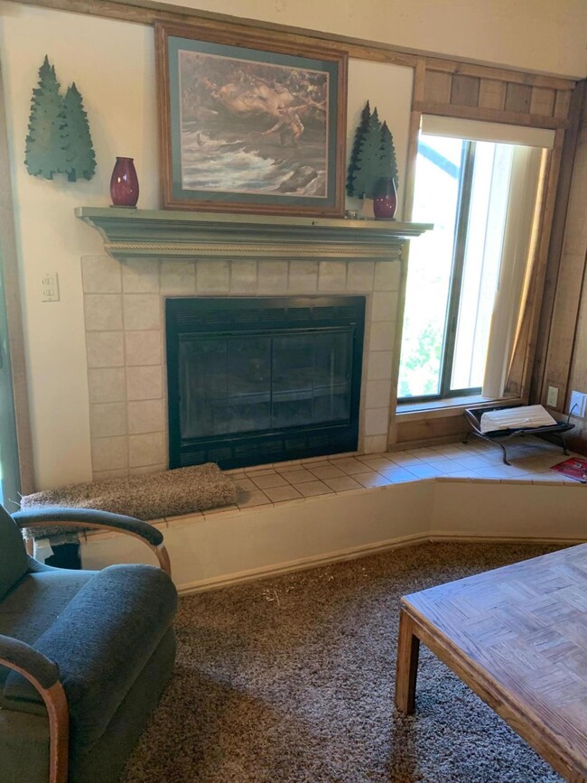 226 Utah 143 unit 143 E-3, Brian Head, UT 84719 - photo 7