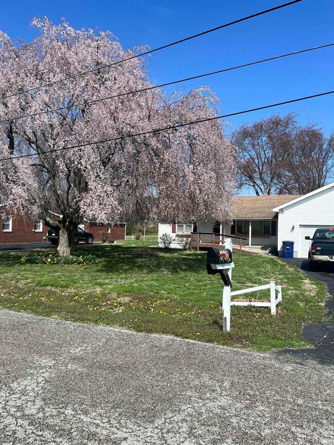 116 Olive Dr, Princeton, IN 47670 - photo 4