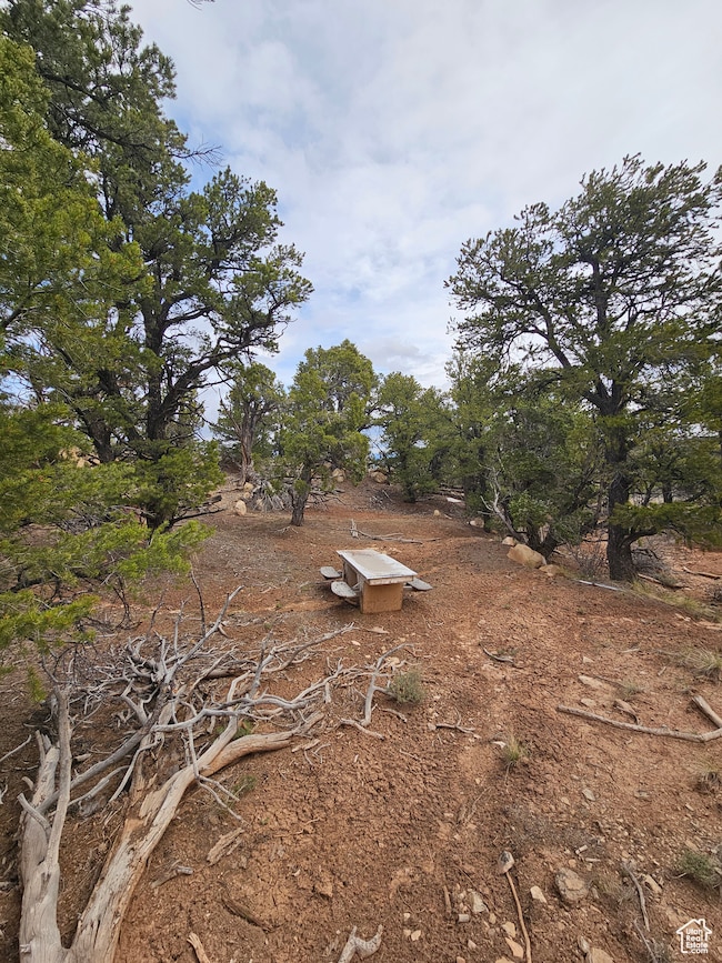 Beautiful Property Views - Flat Area to camp