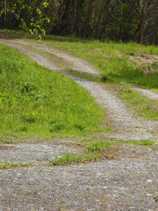 11132 Little Rd, Trapper Creek, AK 99683 - photo 6