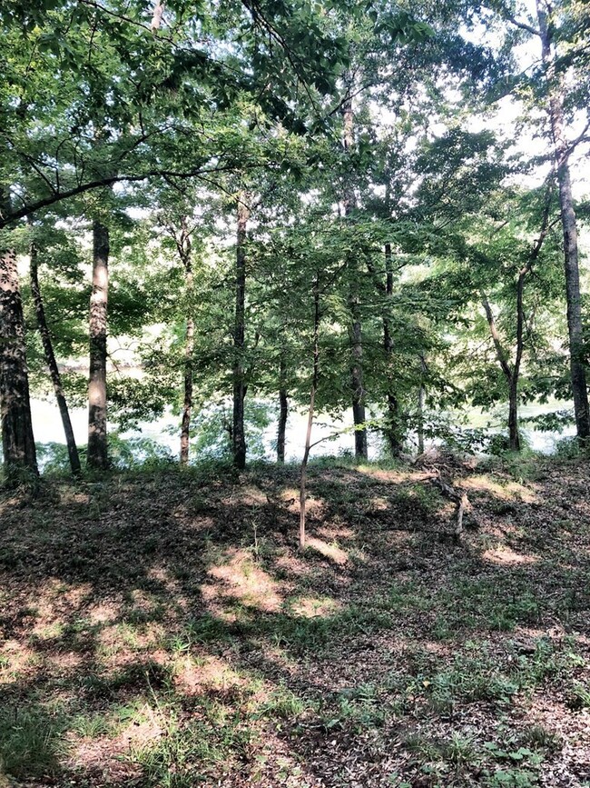 112 Rivermist, Macon, GA 31210 - photo 2