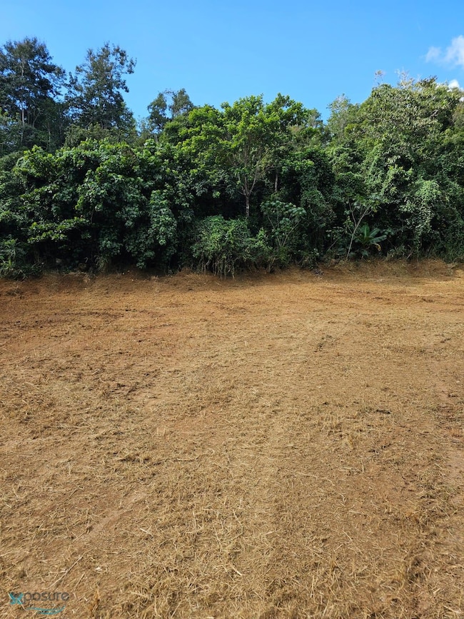 663 Miraflores unit KM5.6 6, Arecibo, PR 00612 - photo 3