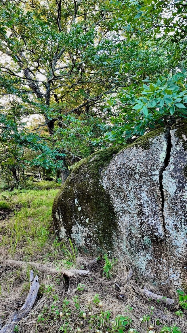 0 E Harbert Rd, Tishomingo, OK 73460 - photo 7