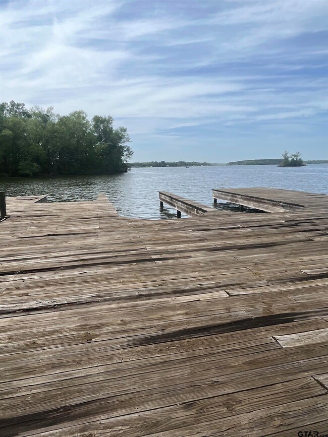 17946 Eastside Rd, Troup, TX 75789 - photo 5