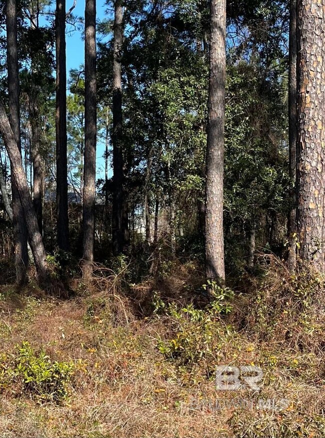 16th E A Ave, Gulf Shores, AL 36542 - photo 2