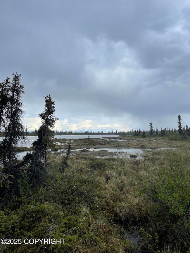 Tract J Old Lake Louise (Trail) Rd, Glennallen, AK 99588 - photo 3