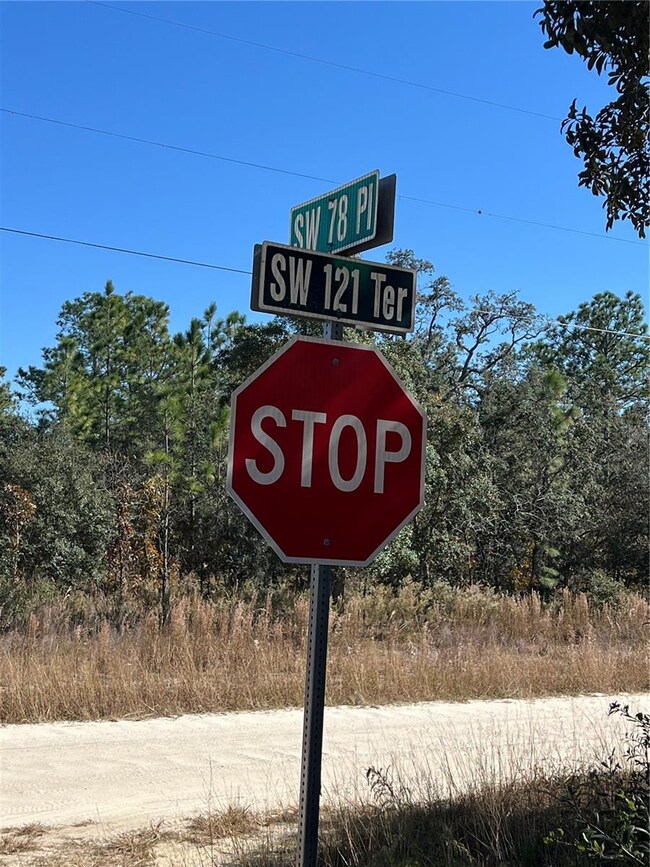 0 SW 121 Terrace Rd unit MFRO6361048, Dunnellon, FL 34432 - photo 4