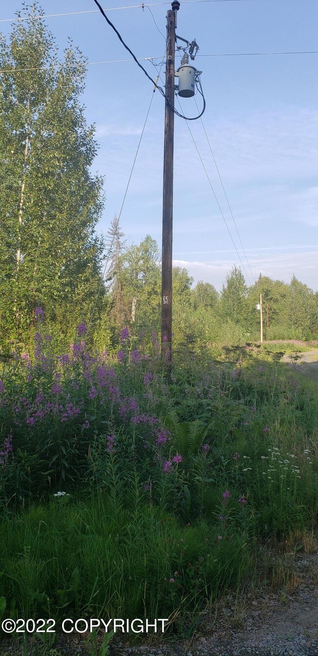 Turn on road where electric pole is CC24