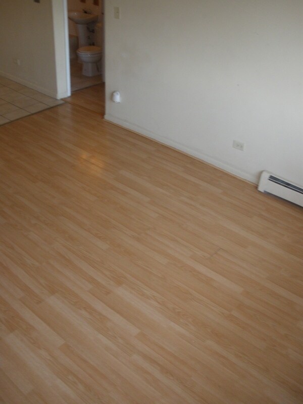 1213 N 34th Ave unit 3, Melrose Park, IL 60160 - photo 5