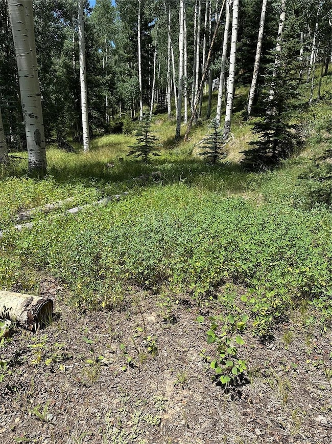 Lots 7-12 Calkins St, Jasper, CO 81132 - photo 4