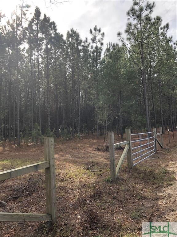 0 Sawmill Rd unit 200501, Guyton, GA 31312 - photo 4