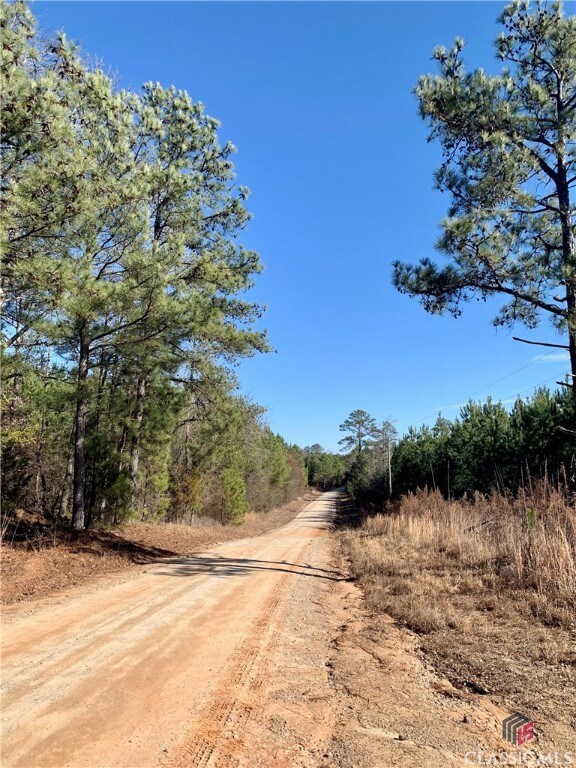 0 Gene Smith Rd unit 1013872, Carlton, GA 30627 - photo 2