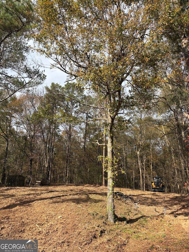 2316 Hi Roc Cir NE, Conyers, GA 30012 - photo 2