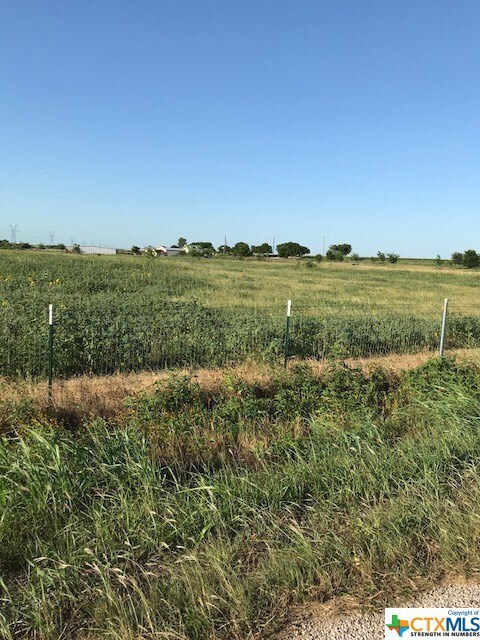 000 Arthur Cemetery, Troy, TX 76579 - photo 6