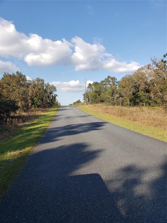 Lot 12 SW Persimmon Ln, Dunnellon, FL 34431 - photo 7