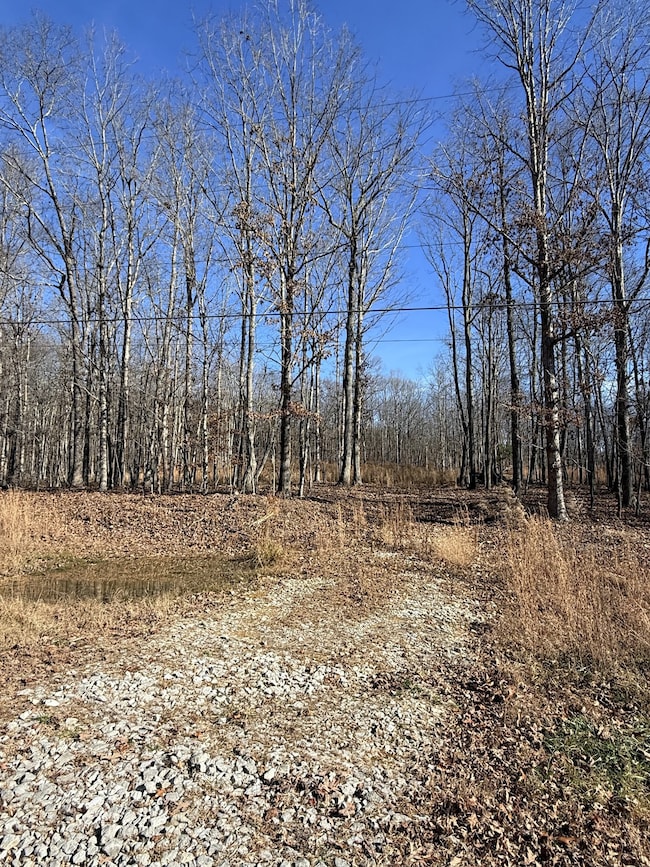 0 Deerwood Dr unit RTC3060905, Sewanee, TN 37375 - photo 2