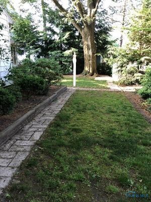 Side Yard