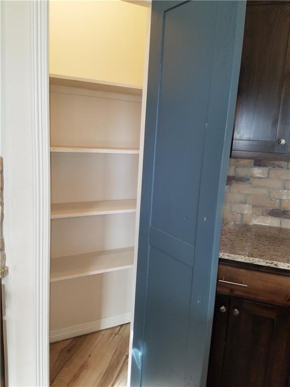 LIGHTED KITCHEN PANTRY