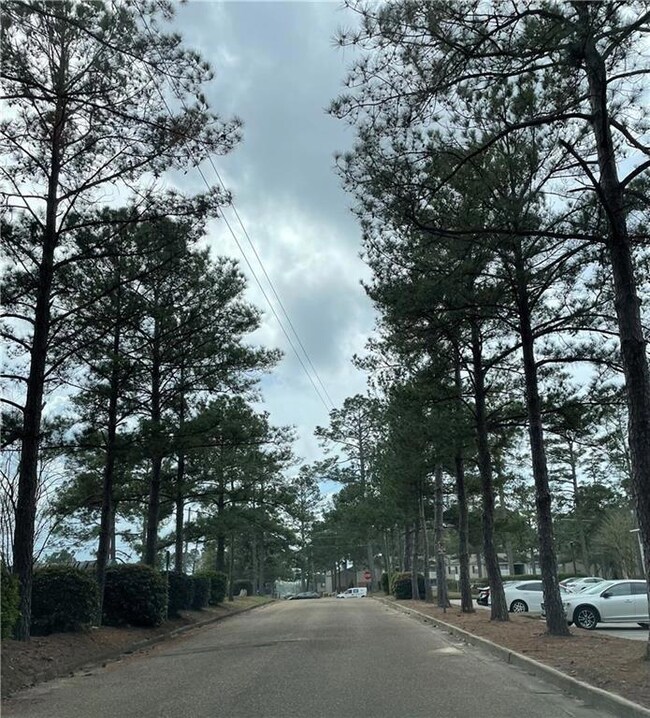 1250 Henckley Ave unit 104, Mobile, AL 36609 - photo 7