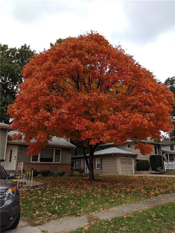 6832 Stearns St, Shawnee, KS 66203 - photo 5