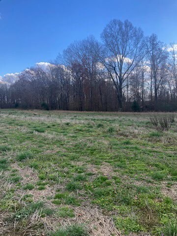 0 Bluff Rd unit RTC3059638, Loretto, TN 38469 - photo 4