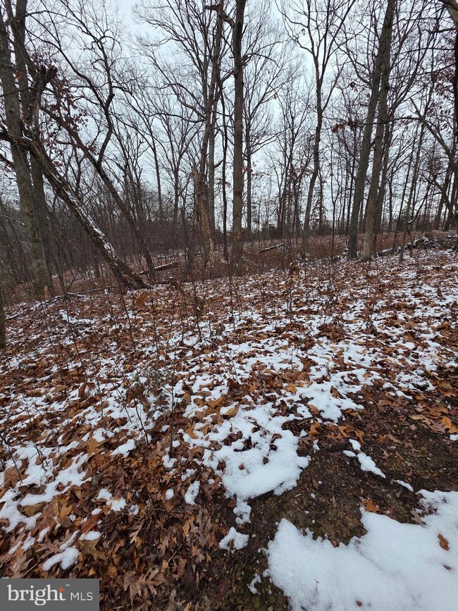 0 Huttle Rd unit VAFV2038332, Middletown, VA 22645 - photo 4