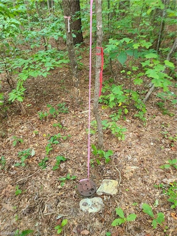 00 Grassy Knob Rd unit 10, Pilot Mountain, NC 27041 - photo 6