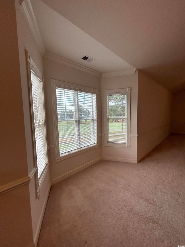 Carpeted empty room featuring crown molding
