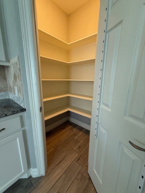 Generous sized kitchen pantry