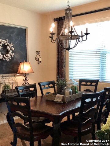 3747 Ox-Eye Daisy, San Antonio, TX 78261 - photo 5