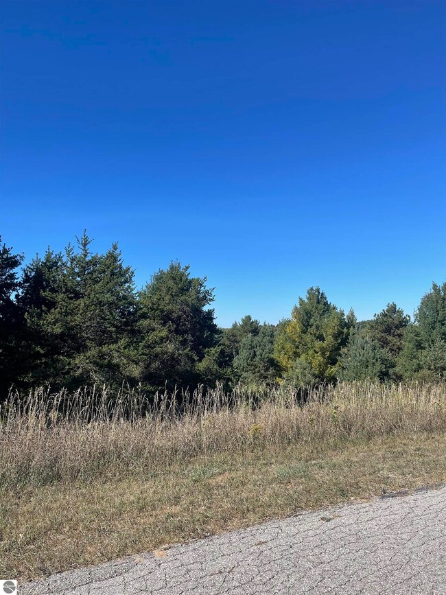 000 Paradise Hills Dr unit 1, Central Lake Township, MI 49622 - photo 5