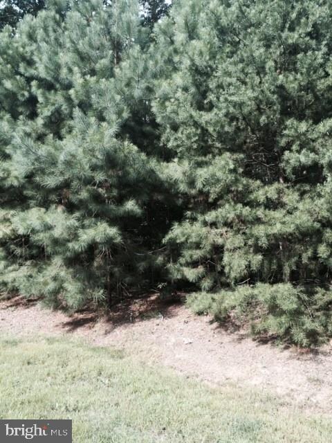 Lot 17 Red Fox Run unit 17, Milton, DE 19968 - photo 2