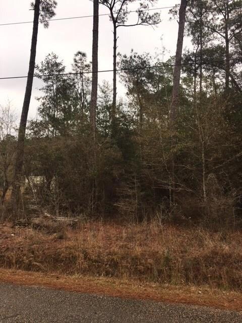Lot 2 Maple Ln, Mandeville, LA 70448 - photo 4