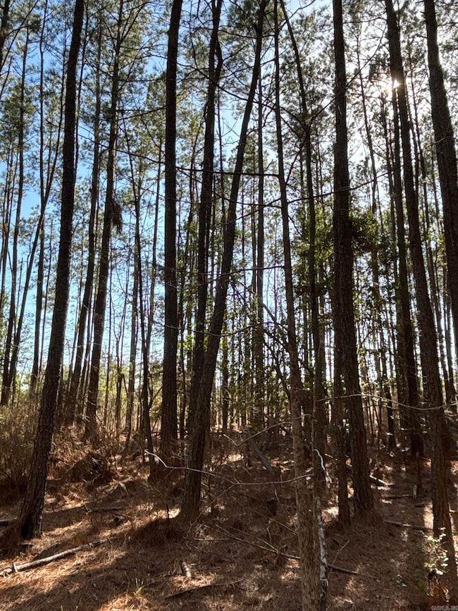 1 W Dallas County Line 20, Sparkman, AR 71763 - photo 3