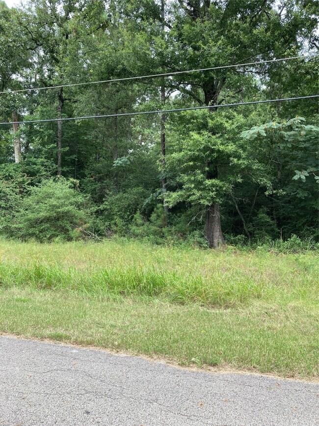 LOT 120 White Birch, Conroe, TX 77385 - photo 5