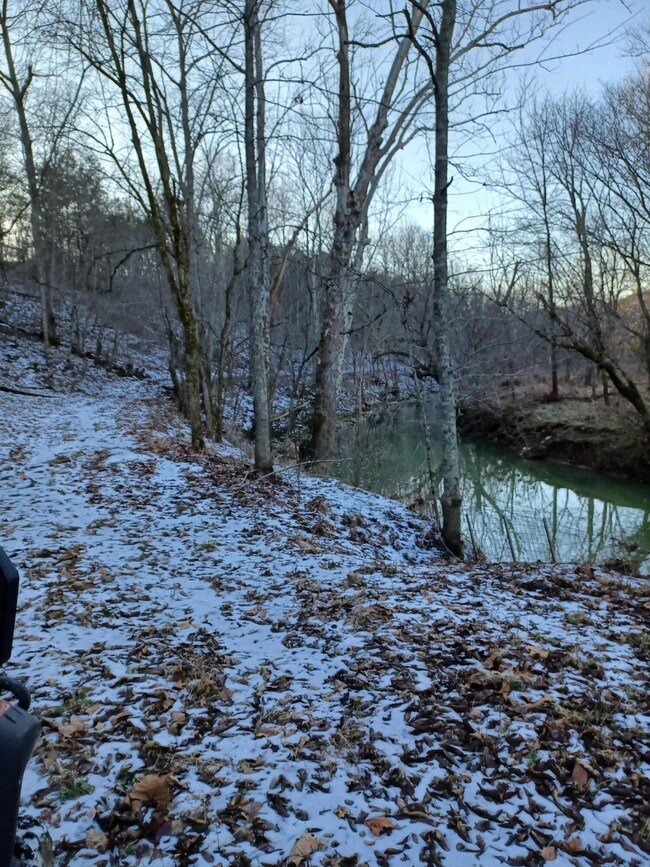 4699 Talmage Mayo Rd, Harrodsburg, KY 40330 - photo 4