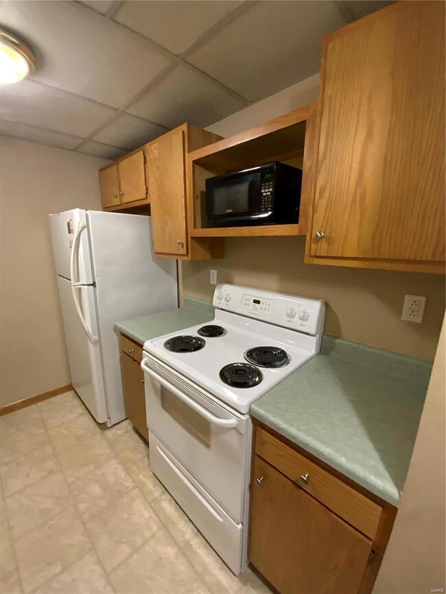 1 Sunset Dr unit 10, Freeburg, IL 62243 - photo 5