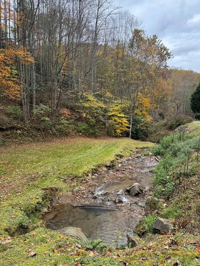 00 Pumpkintown Rd, Sylva, NC 28779 - photo 3