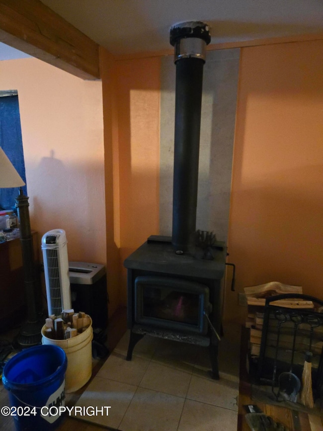 Newer wood stove