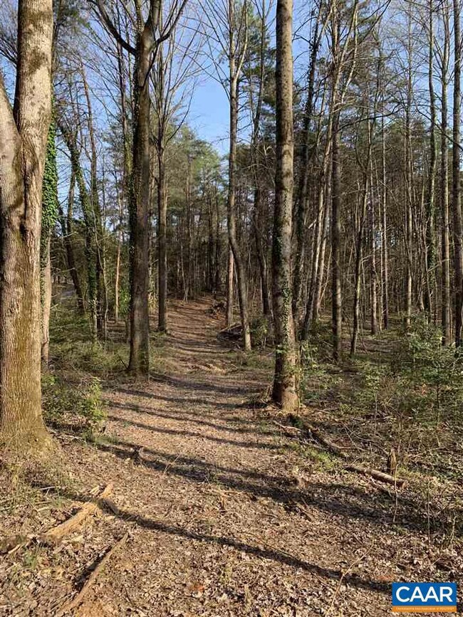 Lot #3 Earlysville Rd, Earlysville, VA 22936 - photo 5