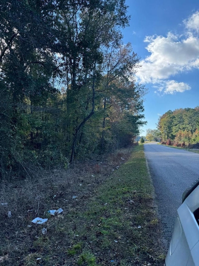 0 Felton St, Summerton, SC 29148 - photo 4