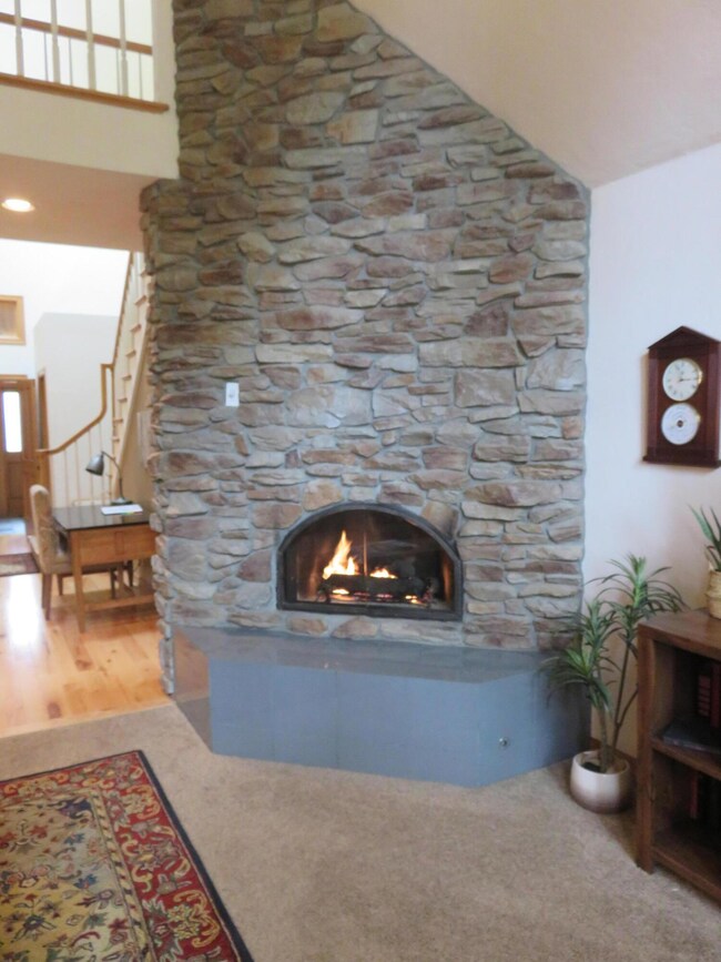 Cozy Gas Fireplace