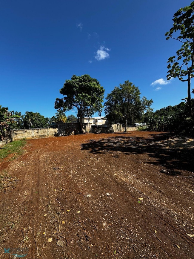 KM 122.5 Bo Corrales unit CARR 2, Aguadilla, PR 00605 - photo 7