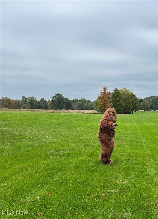 0 Alliance Rd unit 5077429, Rootstown, OH 44272 - photo 5