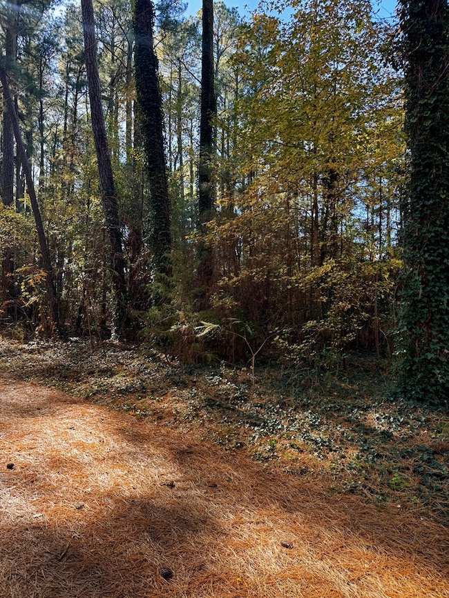 Lot 19 Folly Creek Club Ln unit 19, Accomac, VA 23301 - photo 4